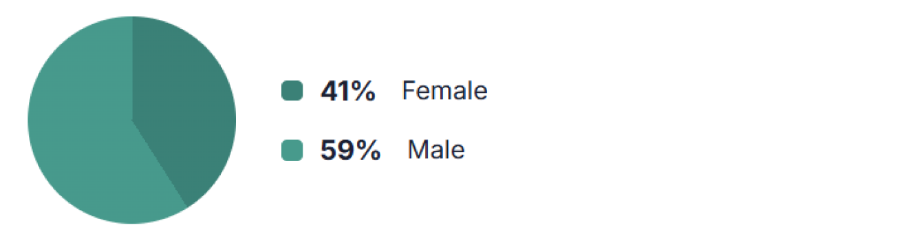 Users by gender: 41 per cent female, 59 per cent male