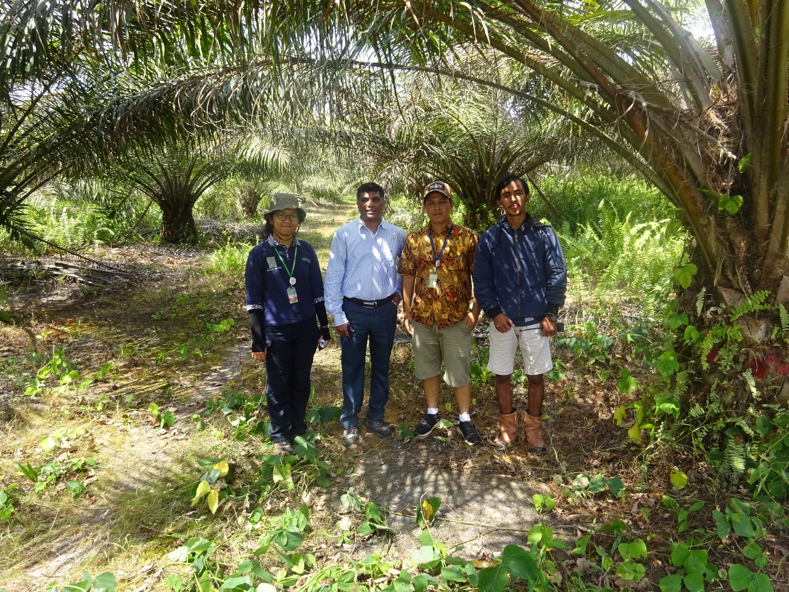 Bio-innovation for food security and sustainability