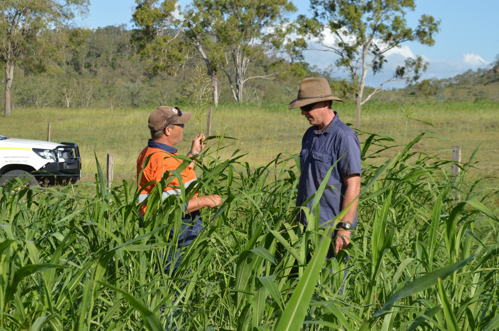 Restoring grazing lands to protect the Great Barrier Reef