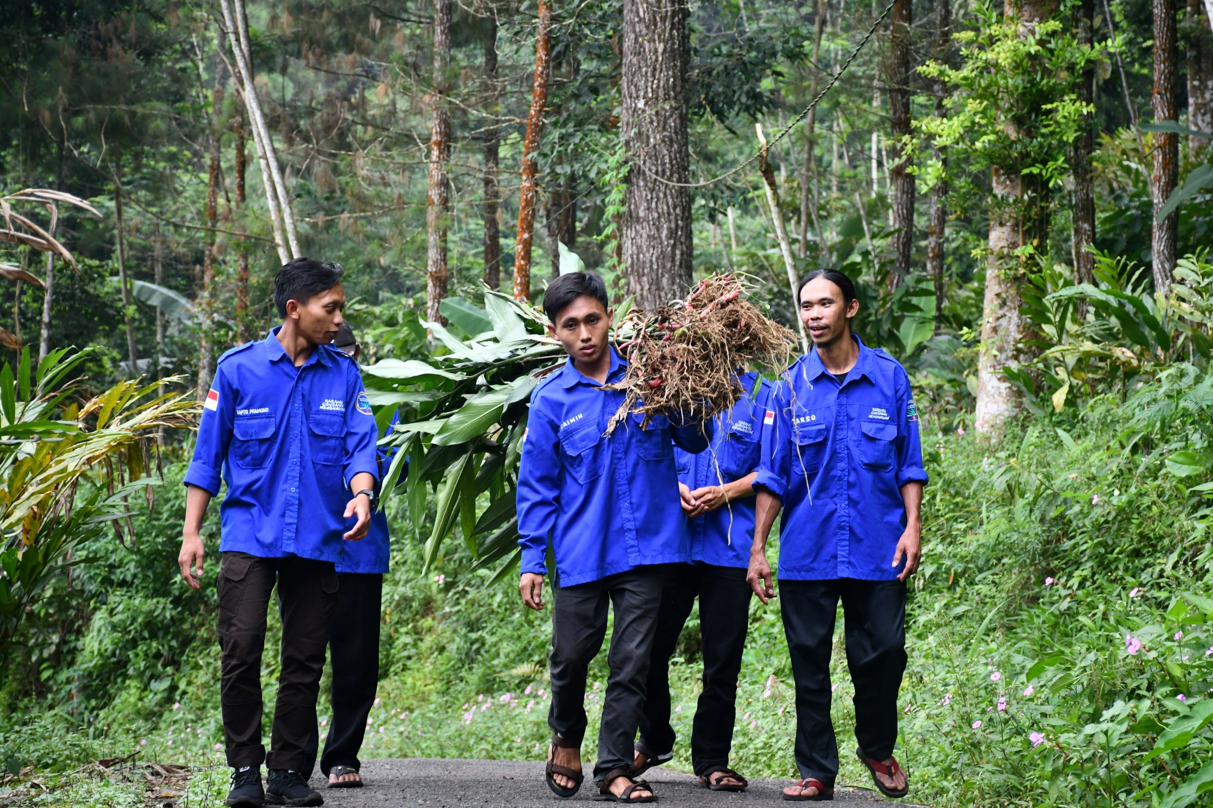 Uplifting village communities by regenerative farming