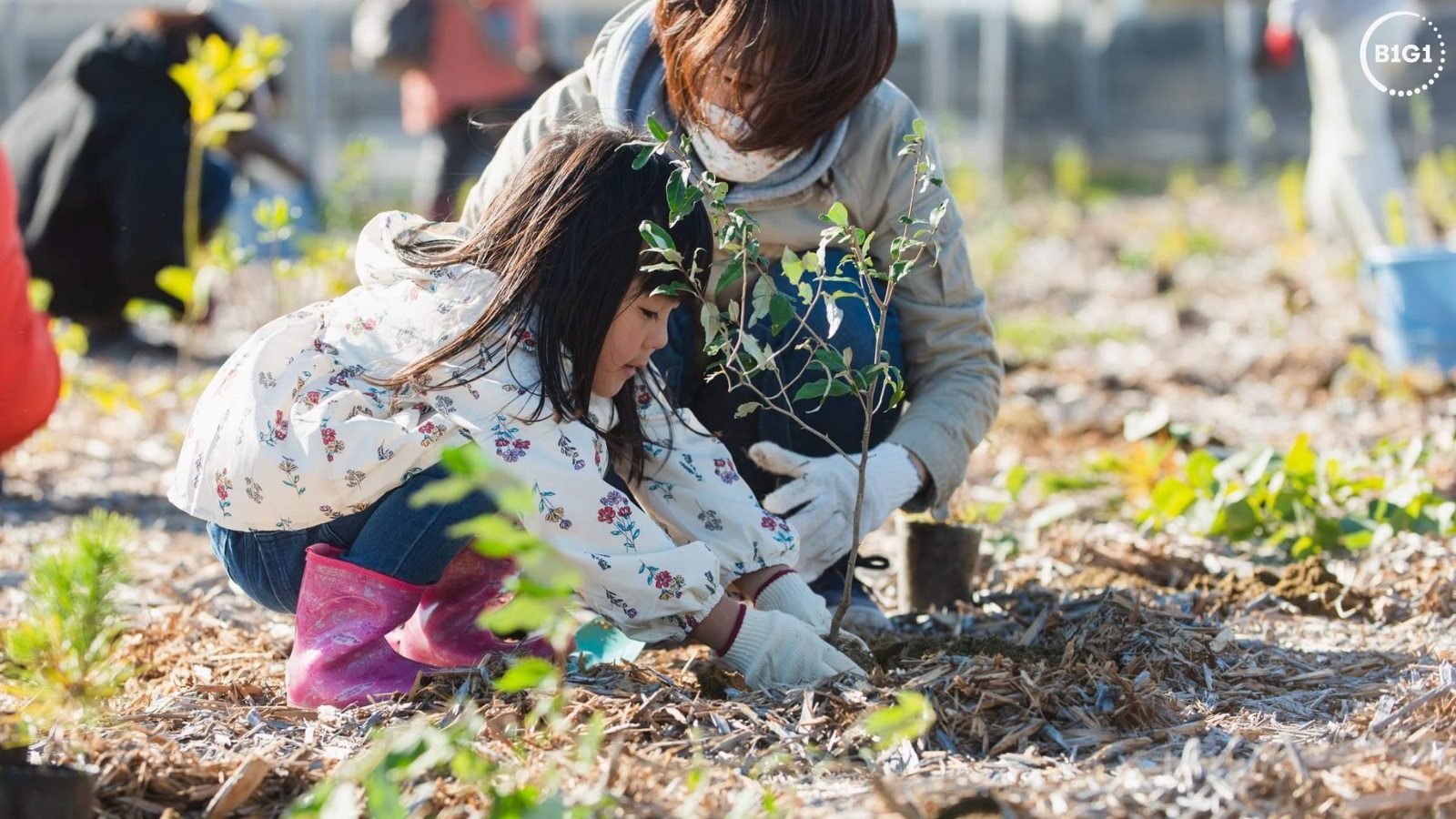 Transforming transactions into impact with micro-giving