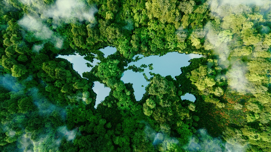 HIGH-IMPACT CROWD SOURCING CONCEPTS FOR PEOPLE & PLANET
