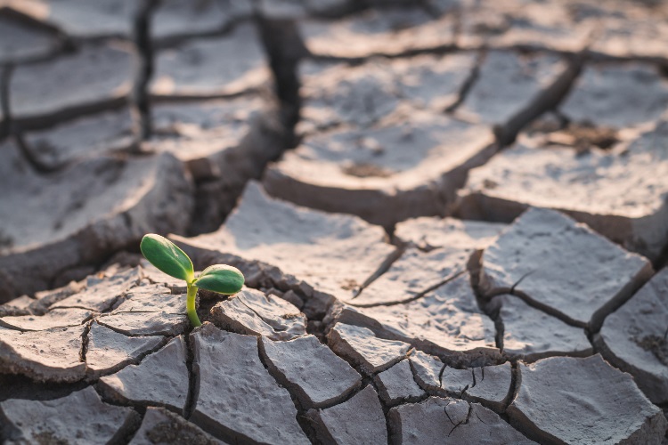 Consequences of climate change in our environment
