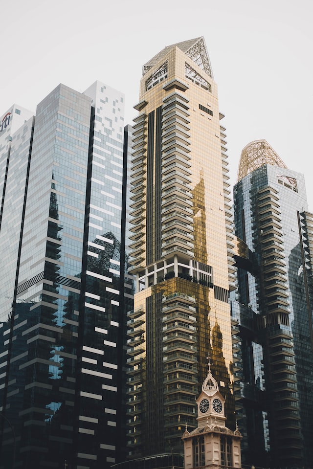 Prudence or loyalty? Striking a balance between profit and sustainability